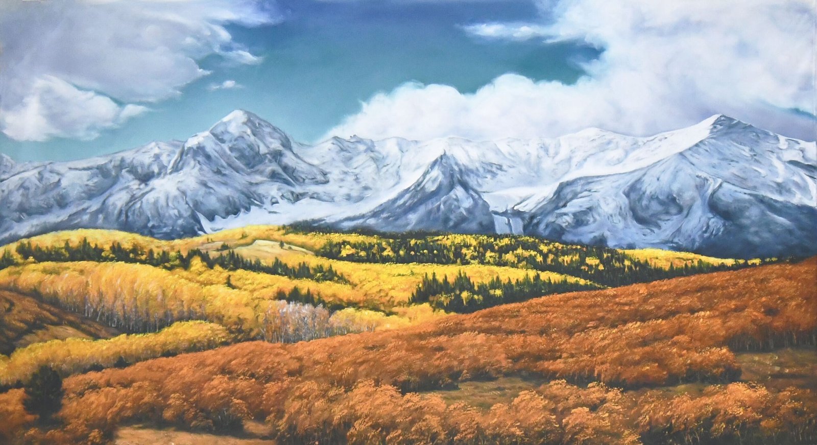 Backdrop 5