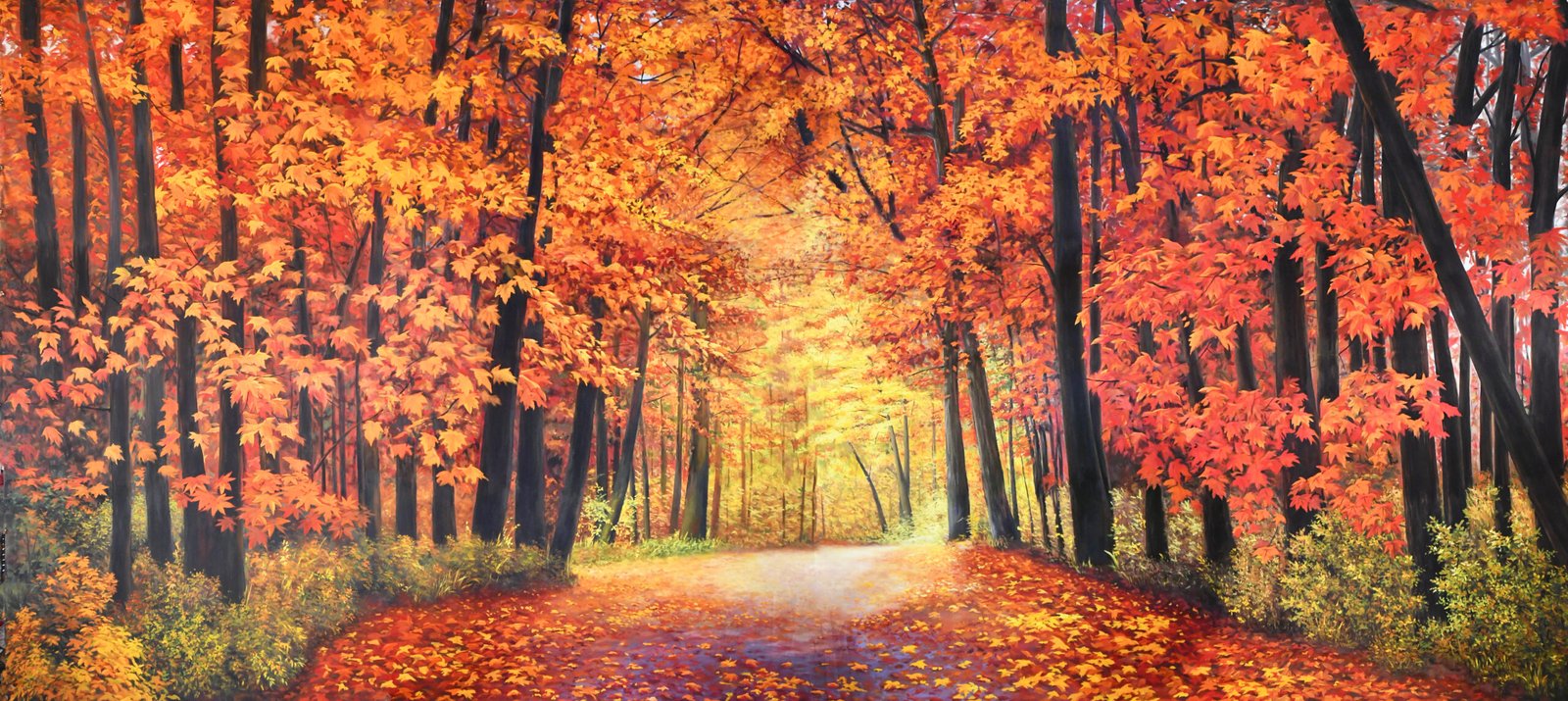 Backdrop 6
